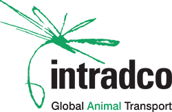 Intradco Global